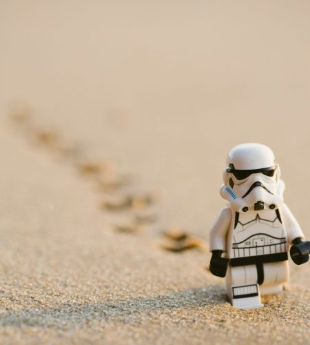 daniel-k-cheung-cPF2nlWcMY4-unsplash